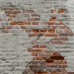 Lastolite Urban Collapsible 5x7 Ft Rusty Metal/Plaster Wall Background LL LB5713
