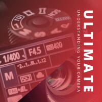 The Ultimate Understanding Your DSLR 1-3 Full Day Workshop with Rick Gerrity