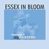 Essex in Bloom: Photographing the Iris Gardens
