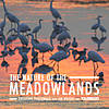 The Nature of the Meadowlands Photography Walk with Jim Wright and Pros