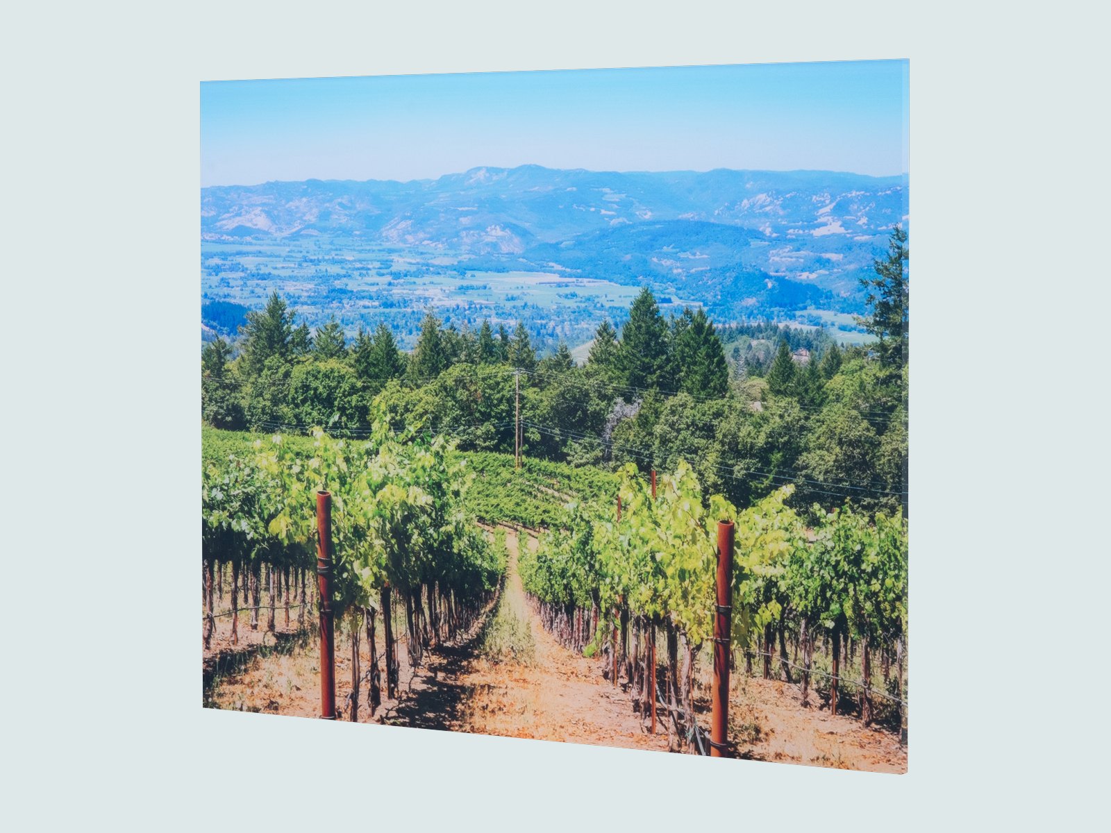 An acrylic print of a vineyard and mountains