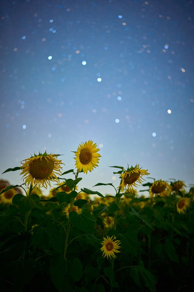 A546A744-6EAC-42AE-99D5-322A154D6CD3.jpg
