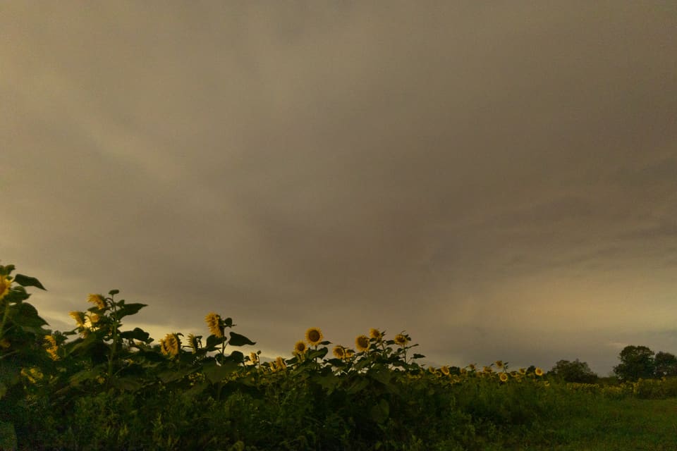 A7335EC9-C8CB-41B6-9BF4-7941BBEF4244.jpg