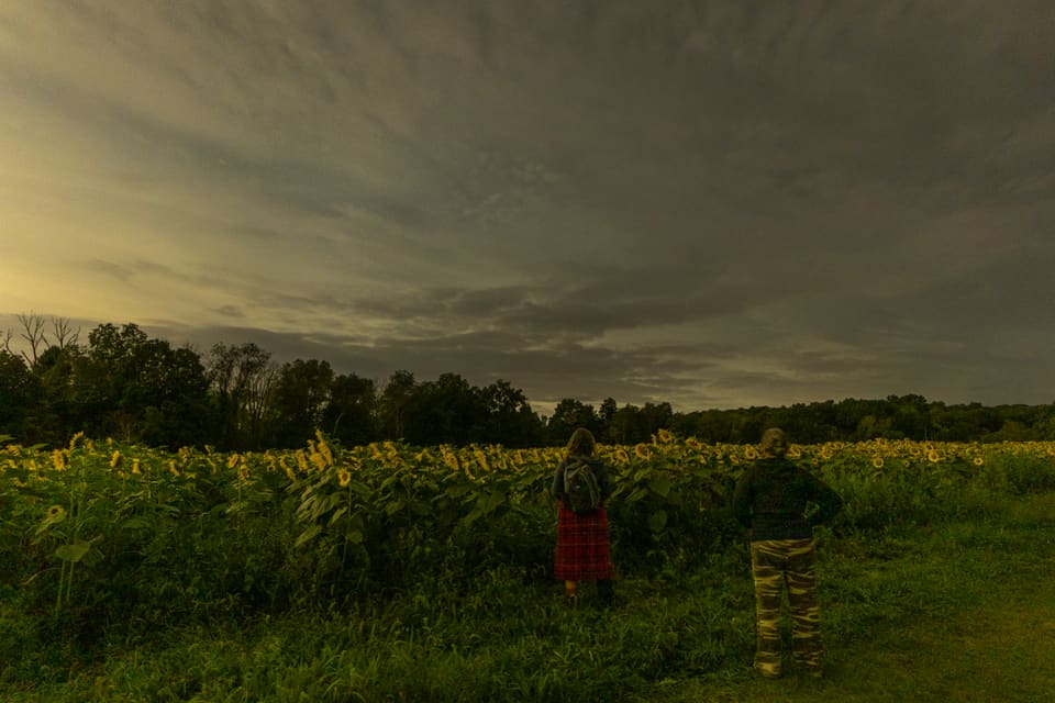 C6E3963C-E8A5-4DEA-A7EE-9E17952ADC23.jpg