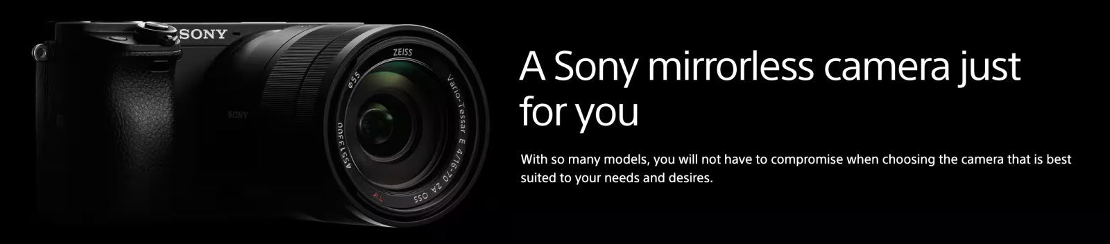 Sony mirrorless banner