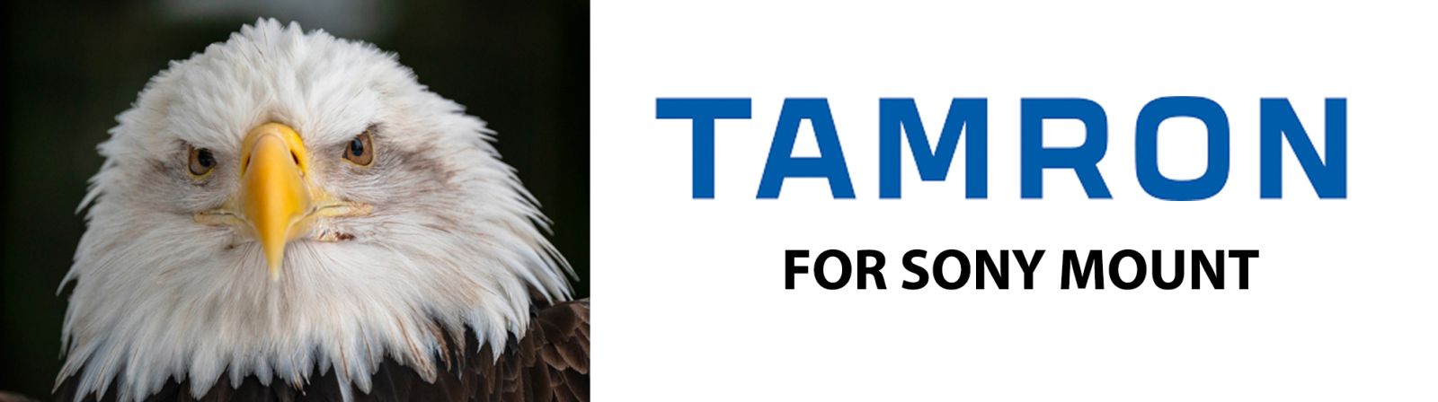 Tamron Sony Mount Banner