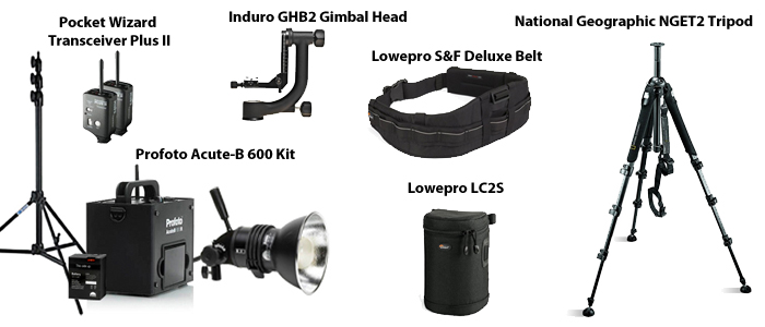 SUPPORTLIGHTING