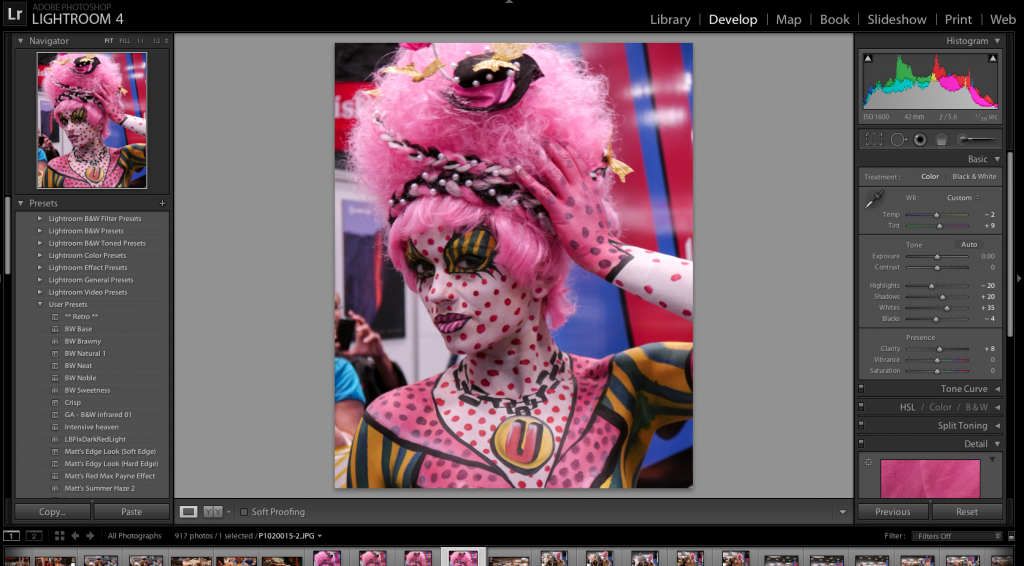 Adobe LR 4 Screenshot