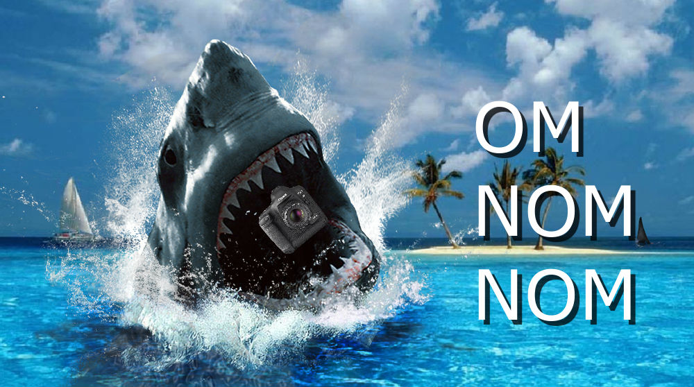 shark om nom nom