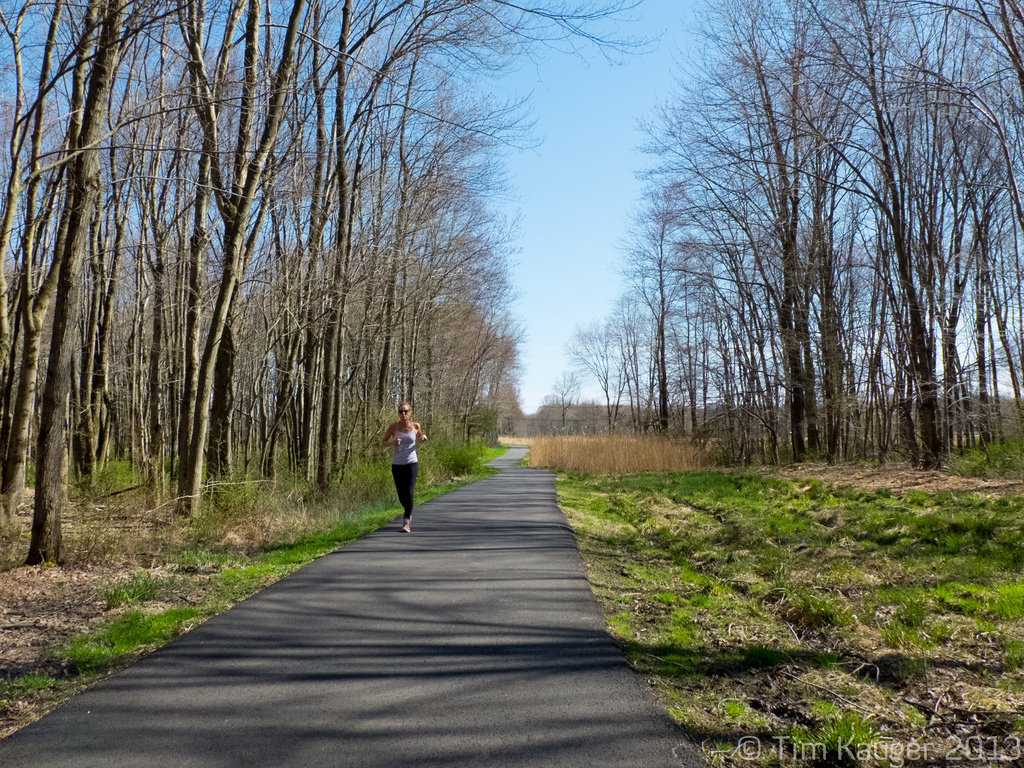 The Jogger