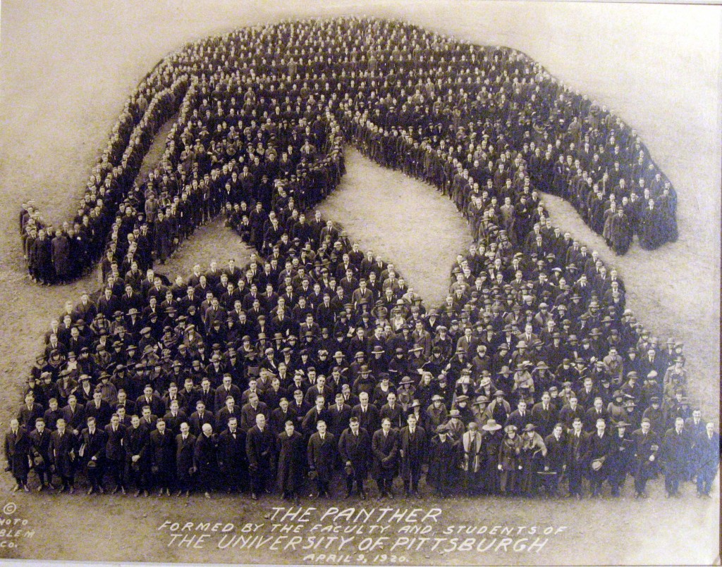 the panther by u pittsburgh 1920