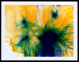 8400295720_f2a68ca6f0_o