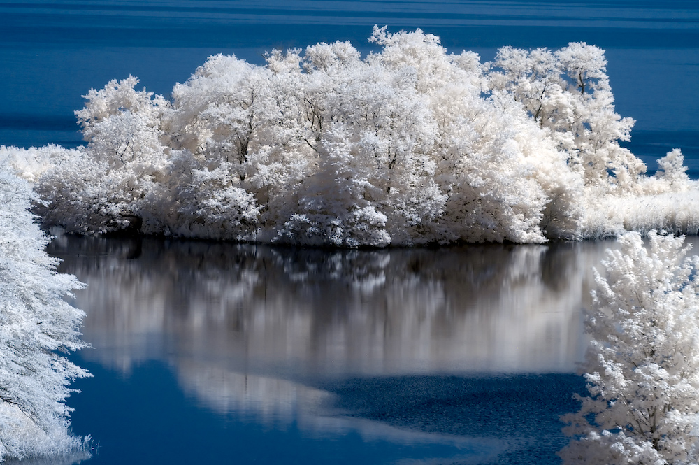 Infrared Photography Infrared Photography