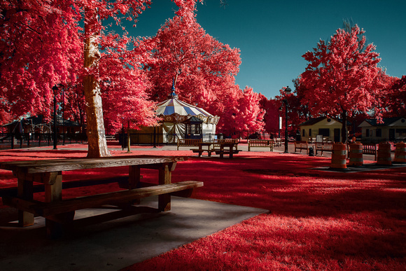 digital infrared photography digital infrared photography