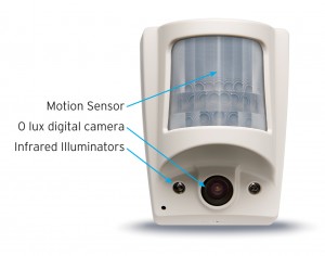 Motion Detection Camera