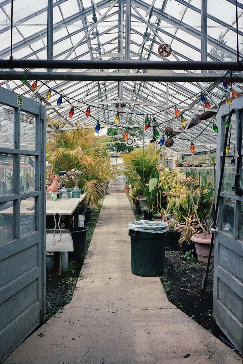 Photo Inside Green House taken with Kodak Portra 400 Film