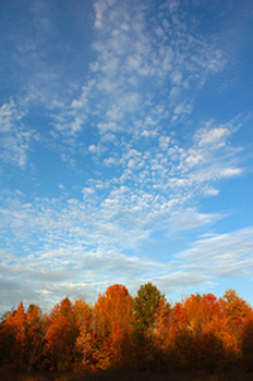 Fall Color and Sky