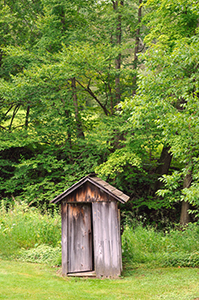 shedmillbrookblog6