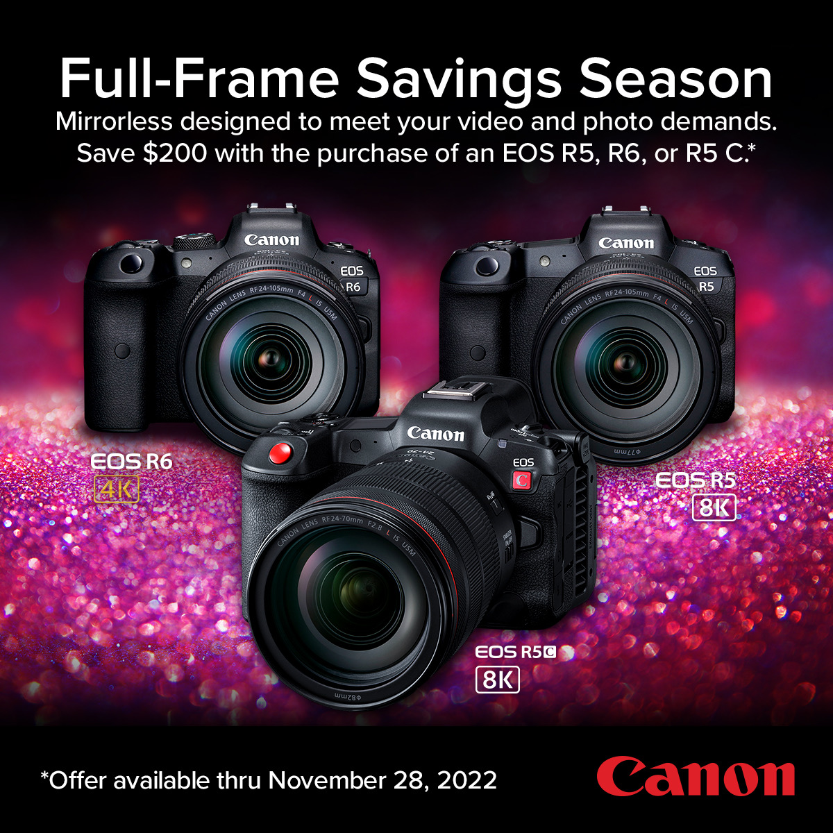 Black Friday Super Sale!
