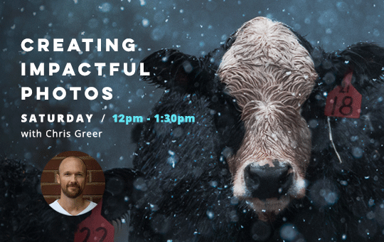 Camera Show Featured Classes - Fairfield