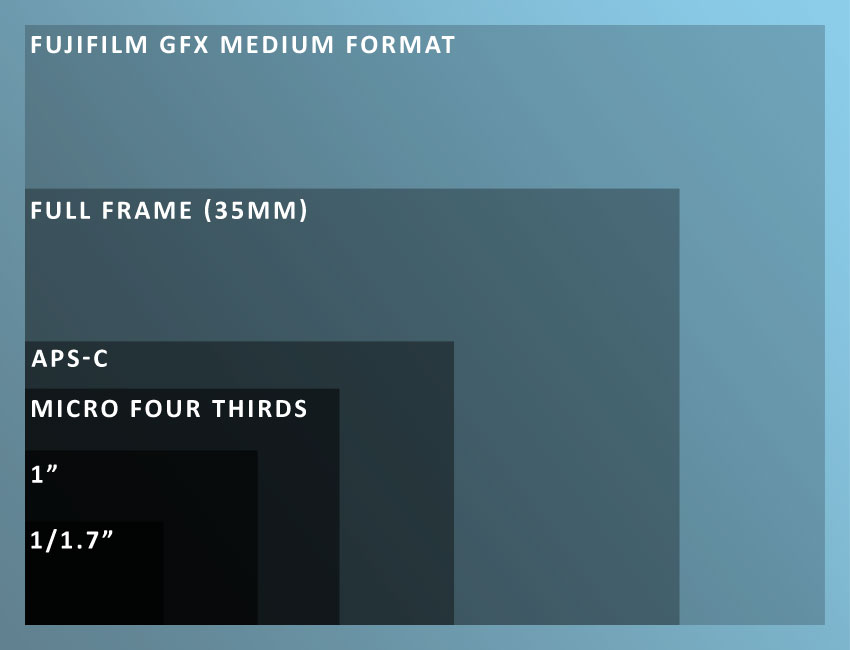 Comparing Sensors: APS-C vs Full Frame vs Medium Format