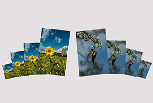 Custom Enlargements Service