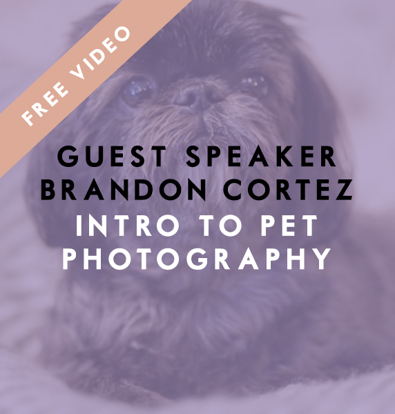 Guest Speaker Brandon Cortez: Intro to Pet Photography