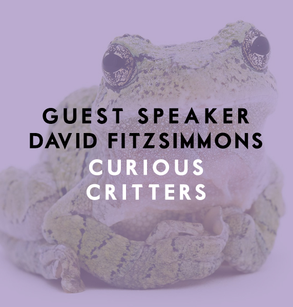 Guest Speaker David FitzSimmons: Curious Critters