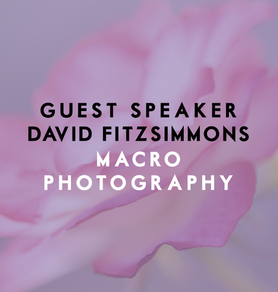 Guest Speaker David FitzSimmons: Macro