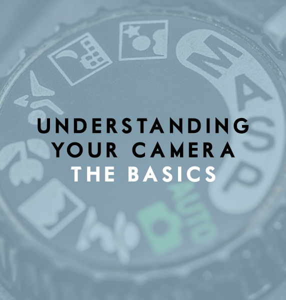 Understanding Your Camera I: The Basics