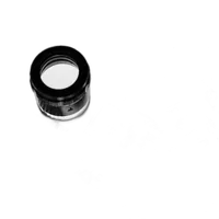 Adox Scala 50 ISO B and W Reversal Film (35mm Roll Film, 36 Exposures) 2