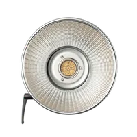 Aputure Light Storm LS300X Bi-Color LED Light (Gold Mount) 4