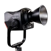 Aputure Light Storm LS 1200d Pro LED Light 1