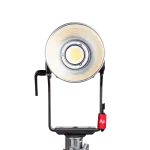 Aputure Light Storm LS 600d Daylight LED Light (Gold Mount) 5