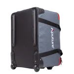 Aputure Light Storm LS 600d Daylight LED Light (Gold Mount) 16