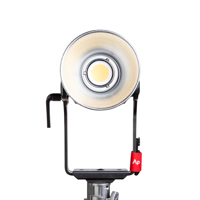 Aputure Light Storm LS 600d Daylight LED Light (Gold Mount)