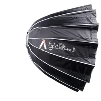 Aputure Light Storm LS C120D II LED Light Kit with V-mount Battery Plate 8