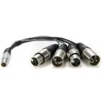 Atomos Lemo to XLR Breakout Cable 0