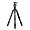 Benro FTA18AB0 Travel Angel Tripod with Ballhead