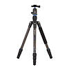 Benro FTA18CV0 Travel Angel Tripod with Ballhead