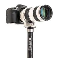 Benro MSD36C SupaDupa Carbon Fiber Monopod (64.9) 1