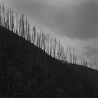 No Fences - Mark McLennan 1