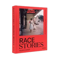 Race Stories: Essays on the Power of Images 1