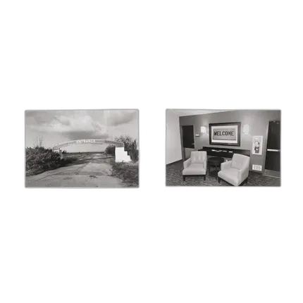 Life Still - Lee Friedlander