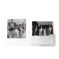 Life Still - Lee Friedlander 1