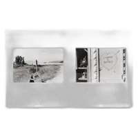 Life Still - Lee Friedlander 2