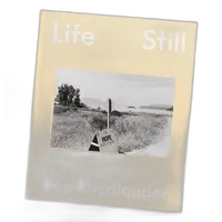 Life Still - Lee Friedlander 3