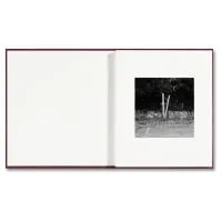 VISCIN - Yorgos Lanthimos 0