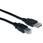 USB Type A Male / Type B Male Cable, 2.0 Version, Black, 10 ft