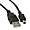 USB Type A Male / Mini-B Male Cable, 4 Pin, Black, 6 ft